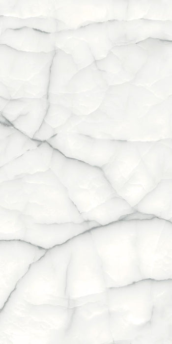 GRANITOGRES 60X120 THUNDER ONYX SILVER