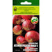ONION SEEDS ASENOVGRADSKA KABA IZK MARITSA - Семена<<<Семена луковици и разсад<<<Градина<<<Praktiker