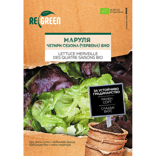 ORGANIC LETTUCE SEEDS 4 SEASONS REGREEN - Семена<<<Семена луковици и разсад<<<Градина<<<Praktiker