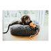 Packaging Hunter Dummy Snacks Black Orange - Домашни Животни<<<Дом Градина<<<BigBuy&&&Купички за храна и вода<<<Домашни