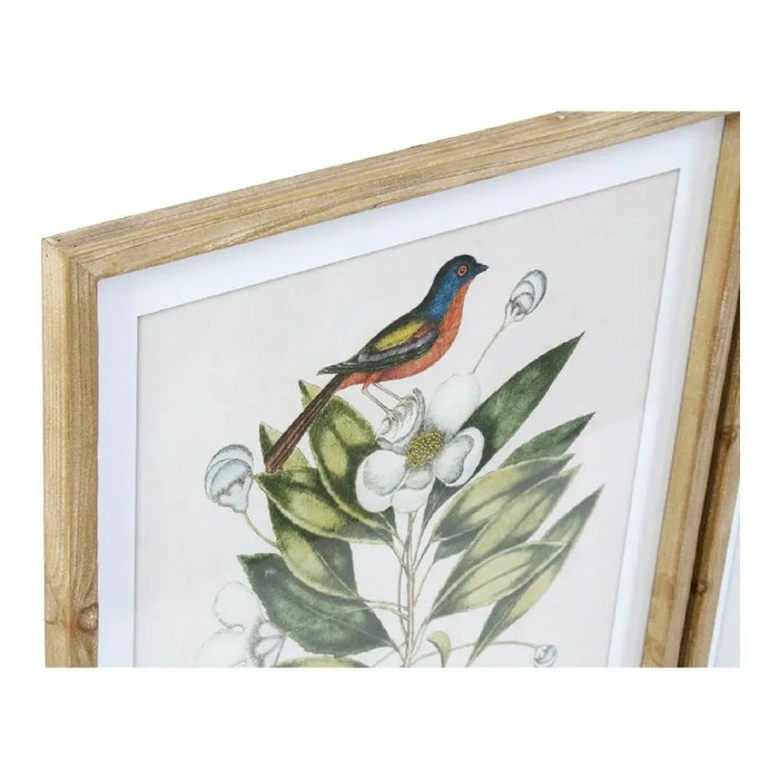 Painting DKD Home Decor Bird Crystal Fir 55 x 2,5 x 70 cm (4 Pieces) - Декорация и Осветление<<<Дом
