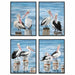 Painting DKD Home Decor Bird Mediterranean (53 x 3,5 x 73 cm) (4 Units) - Декорация и Осветление<<<Дом