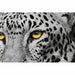 Painting DKD Home Decor Crystal polystyrene 67 x 3 x 93 cm (3 Pieces) - Декорация и Осветление<<<Дом