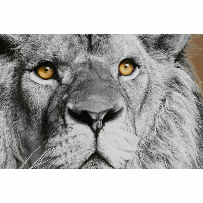 Painting DKD Home Decor Crystal polystyrene 67 x 3 x 93 cm (3 Pieces) - Декорация и Осветление<<<Дом