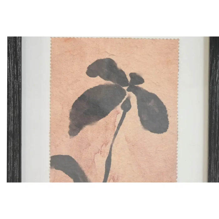 Painting Home ESPRIT Brown Black Urban Botanical plants 30 x 2 x 40 cm (9Units) - Декорация и Осветление<<<Дом