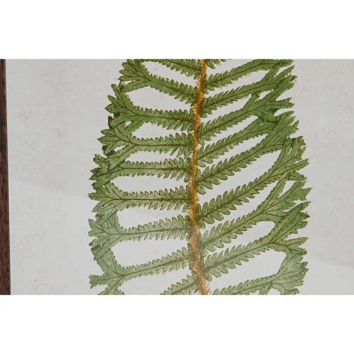 Painting Home ESPRIT Crystal Fir 45 x 2,5 x 70 cm - Декорация и Осветление<<<Дом Градина<<<BigBuy&&&Картини и
