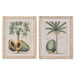 Painting Home ESPRIT Green Beige Tropical (2 Units) - Декорация и Осветление<<<Дом Градина<<<BigBuy&&&Картини и