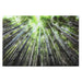 Painting Home ESPRIT Tempered Glass 150 x 0,4 x 100 cm - Декорация и Осветление<<<Дом Градина<<<BigBuy&&&Картини и