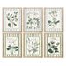 Painting Home ESPRIT White Green Shabby Chic Botanical plants 30 x 2,5 x 40 cm (6 Units) - Декорация и Осветление<<<Дом