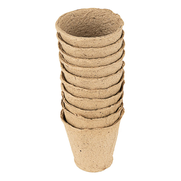 SET OF SEEDLINGS, 10PCS 10X10CM PALISAD 643757