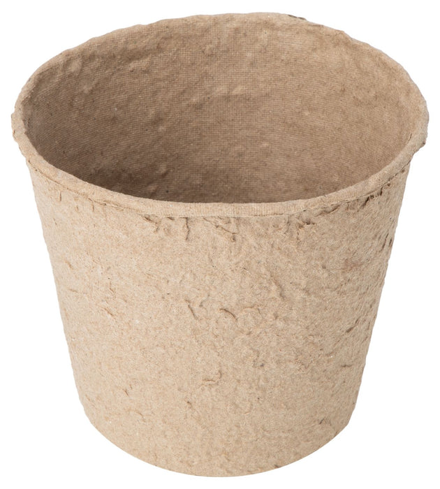 SET OF 5 SEEDLINGS, 10X10CM PALISAD 643747