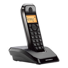 Dect phone PANASONIC KX-TG1611FXW