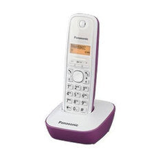 Dect phone PANASONIC KX-TG1611FXW