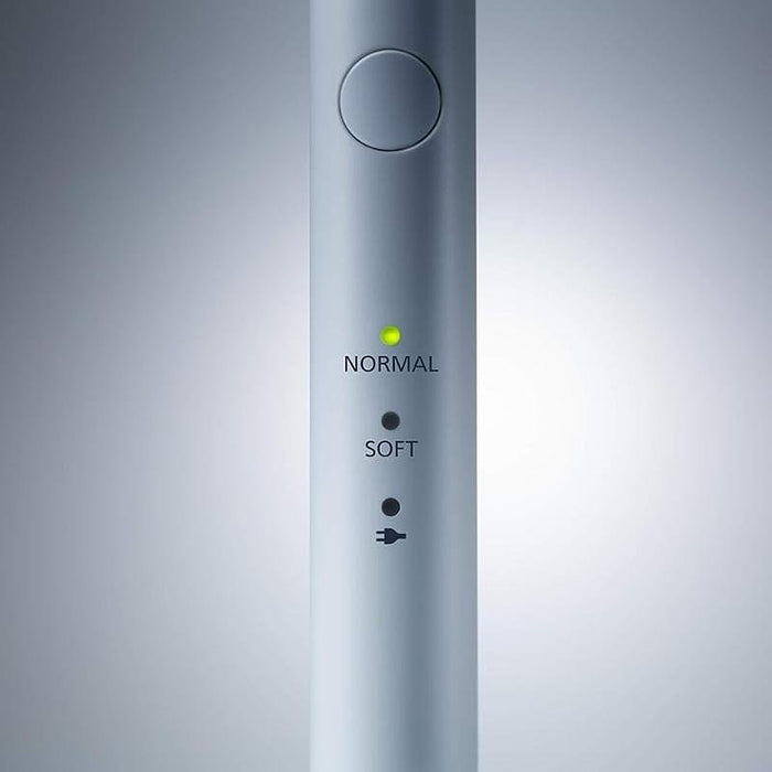 Electric toothbrush Panasonic EW-DM81-G503