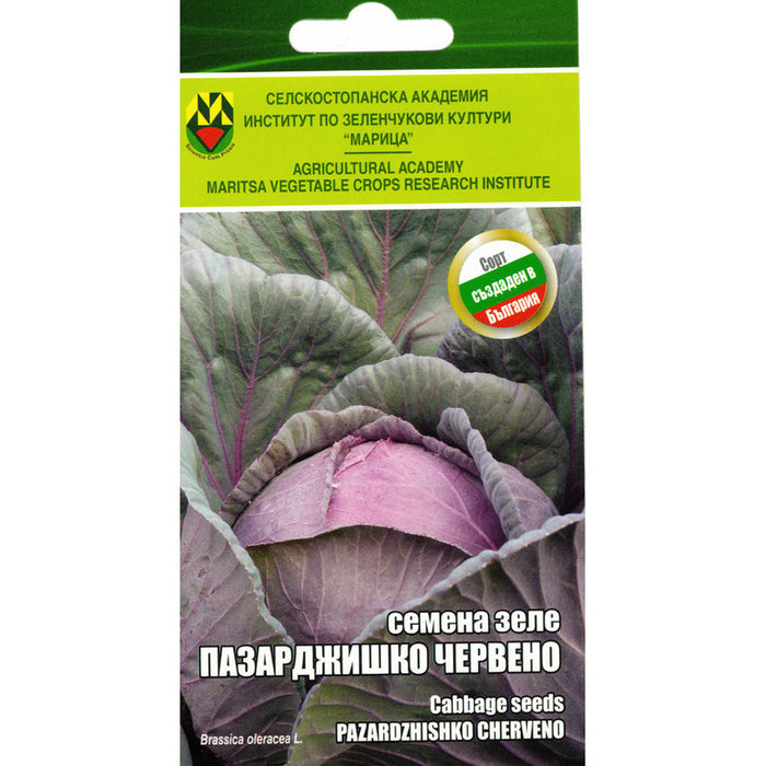 PAZARDZHISK RED CABBAGE SEEDS IZK MARITSA - Семена<<<Семена луковици и разсад<<<Градина<<<Praktiker