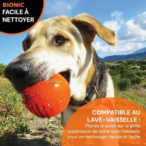Pet Ball Bionic animals - Играчки<<<Домашни Животни<<<Дом Градина<<<BigBuy