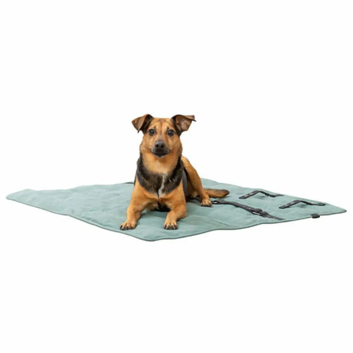 Pet blanket Trixie CityStyle Green Polyester Cotton 80 × 80 cm - Домашни Животни<<<Дом Градина<<<BigBuy&&&Къщички и
