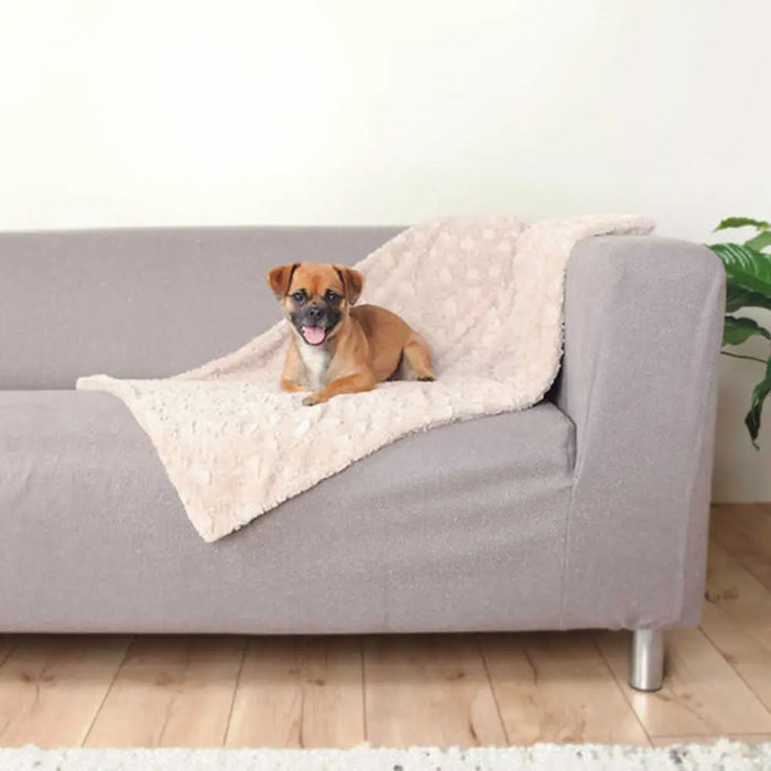 Pet blanket Trixie Cosy Beige Plush 70 × 50 cm - Домашни Животни<<<Дом Градина<<<BigBuy&&&Къщички и легълца<<<Домашни