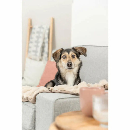 Pet blanket Trixie Elli Sand Polyester 70 × 50 cm - Домашни Животни<<<Дом Градина<<<BigBuy&&&Къщички и