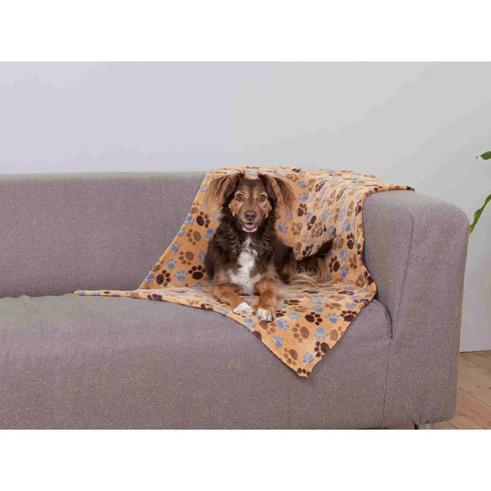 Pet blanket Trixie Laslo Beige 100 × 70 CM - Домашни Животни<<<Дом Градина<<<BigBuy&&&Къщички и легълца<<<Домашни