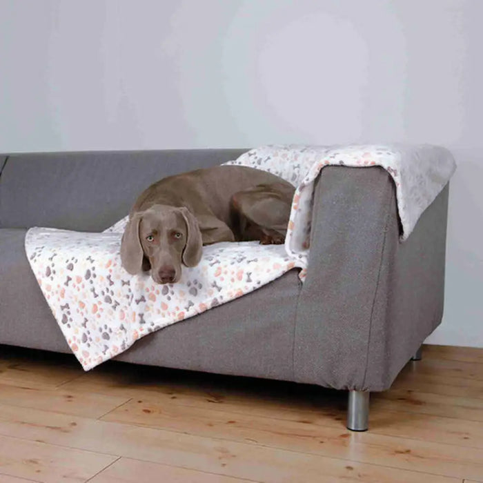 Pet blanket Trixie Lingo White Beige 150 × 100 CM - Домашни Животни<<<Дом Градина<<<BigBuy&&&Къщички и