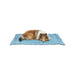 Pet blanket Trixie Samoa Classic Blue Grey 120 × 80 CM - Домашни Животни<<<Дом Градина<<<BigBuy&&&Къщички и