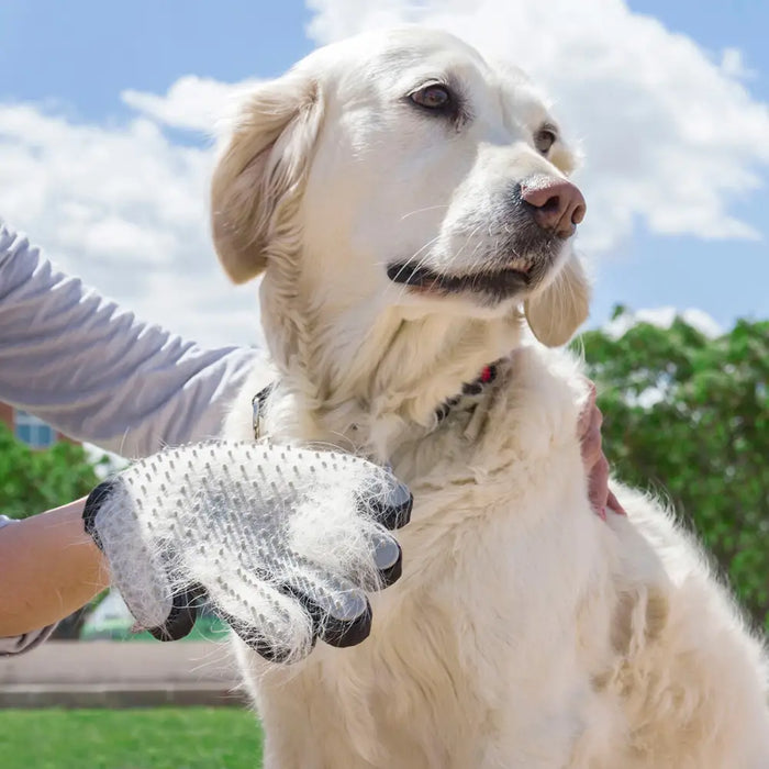 Pet Brush & Massage Glove Relpet InnovaGoods - Домашни Животни<<<Дом Градина<<<BigBuy&&&Здраве и хигиена<<<Домашни