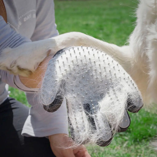 Pet Brush & Massage Glove Relpet InnovaGoods - Домашни Животни<<<Дом Градина<<<BigBuy&&&Здраве и хигиена<<<Домашни