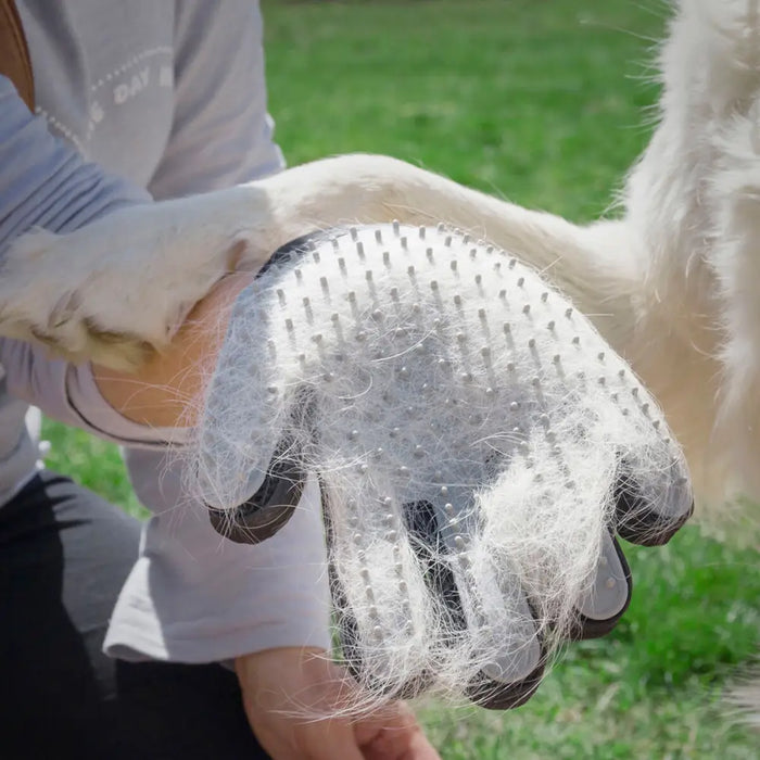 Pet Brush & Massage Glove Relpet InnovaGoods - Домашни Животни<<<Дом Градина<<<BigBuy&&&Здраве и хигиена<<<Домашни