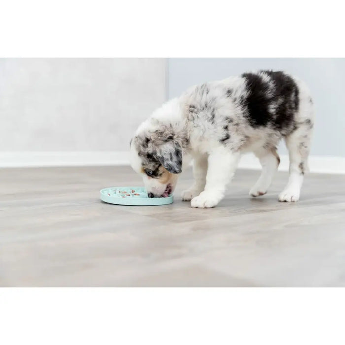 Pet feeding dish Trixie Junior Licking Ø 15 cm Green Mint - Домашни Животни<<<Дом Градина<<<BigBuy&&&Купички за храна и