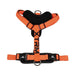 Pet Harness Nayeco x-trm 35-60 x 1,5 cm Orange - Домашни Животни<<<Дом Градина<<<BigBuy&&&Пътуване и разходки<<<Домашни