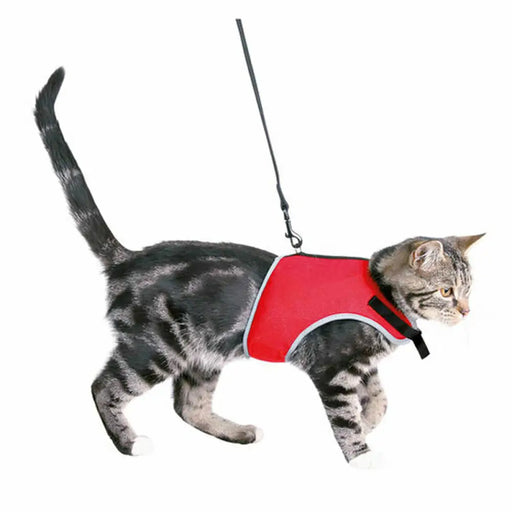 Pet Harness Trixie - Домашни Животни<<<Дом Градина<<<BigBuy&&&Пътуване и разходки<<<Домашни Животни<<<Дом