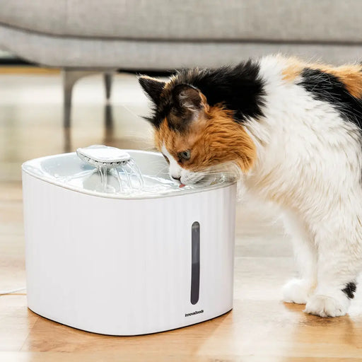 Pet Water Fountain Drinkatt InnovaGoods - Домашни Животни<<<Дом Градина<<<BigBuy&&&Купички за храна и вода<<<Домашни