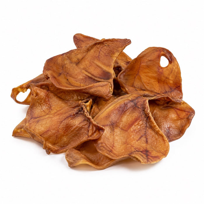 PETITTO pig ear Mono - treat for dogs - 10 pcs
