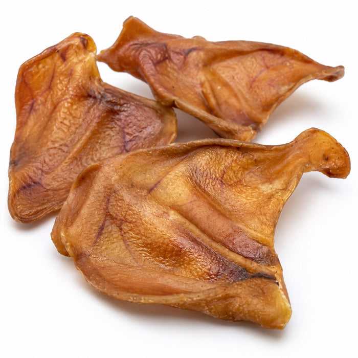 PETITTO pig ear Mono - treat for dogs - 10 pcs