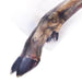 PETMEX Deer hoof - dog chew - 1 pc(s) - DelicaciesDLP-PRZ<<<For the dogDLP<<<ActionPL