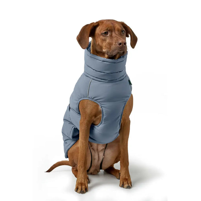 Pet’s clothing Hunter PAXSON Blue Polyester - Домашни Животни<<<Дом Градина<<<BigBuy&&&Пътуване и разходки<<<Домашни