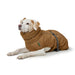Pet’s clothing Hunter PAXSON Brown Polyester - Домашни Животни<<<Дом Градина<<<BigBuy&&&Пътуване и разходки<<<Домашни