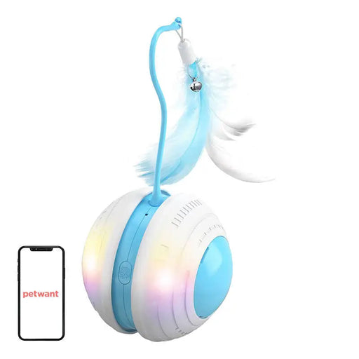 Petwant interactive cat ball MDE1600 - Toys<<<Pets<<<InnproXML