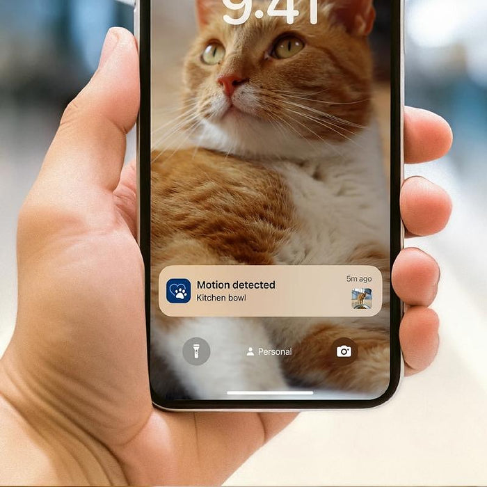 Smart feeder with camera PHILIPS PAW5320/02