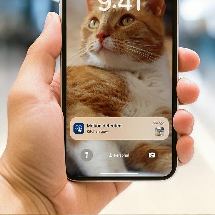 Smart feeder with camera PHILIPS PAW5320/02