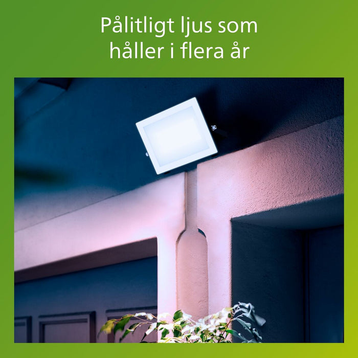Floodlight/Projector Light Philips Black 50 W F