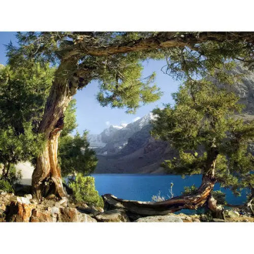 PHOTO WALLPAPER STANDARD 127X180 CM. 1Ch. FOREST - Фототапети<<<Тапети и фототапети<<<Мебели и