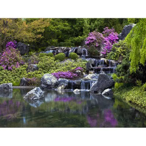 PHOTO WALLPAPER STANDARD 127X180 CM. 1Ch. LAKE - Фототапети<<<Тапети и фототапети<<<Мебели и