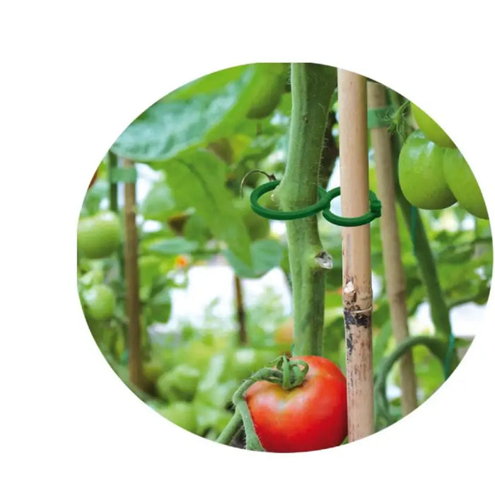 PLANT CLAMPS 40PCS 2 SIZES TYK29 - Други инструменти<<<Градински ръчен инструмент<<<Градина<<<Praktiker&&&Други