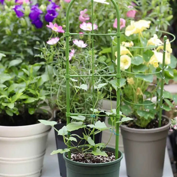 PLANT SUPPORT 60 CM BRADAS TYRD60 - Аксесоари за саксии кашпи и сандъци<<<Саксии кашпи и