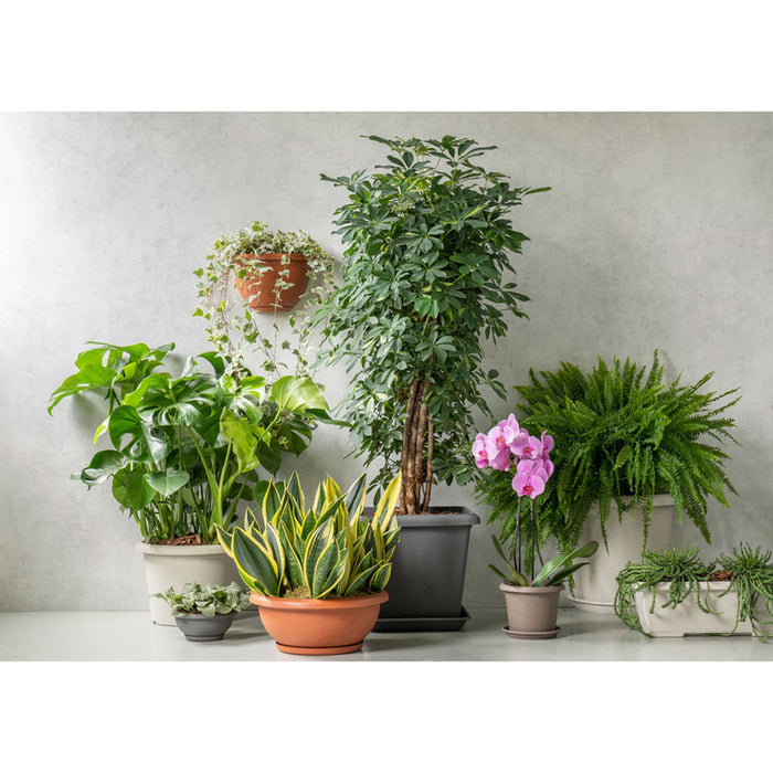 PLASTIC POT F25CM PLASTECNIC TERRAE BOWL