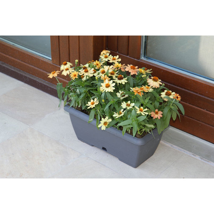 PLASTIC BOX 50CM PLASTECNIC TERRAE BOX