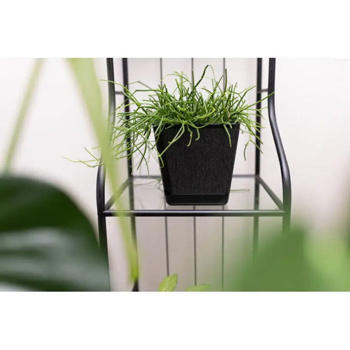 PLASTIC BOX 18X18CM LAMELA KORA - Кашпи<<<Саксии кашпи и цветарници<<<Градина<<<Praktiker