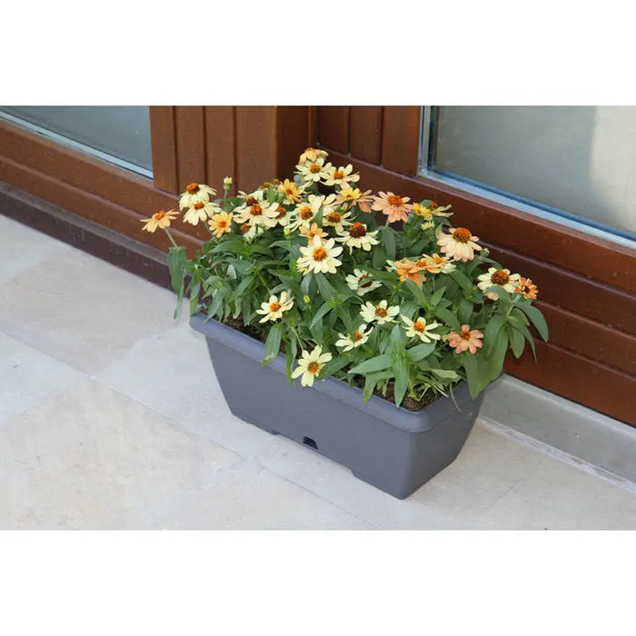 PLASTIC BOX 50CM PLASTECNIC TERRAE BOX - Сандъци<<<Саксии кашпи и цветарници<<<Градина<<<Praktiker&&&Сандъци<<<Саксии